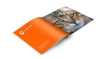 酷客美地企業(yè)形象設(shè)計 塑造品牌靈魂，引領(lǐng)市場潮流