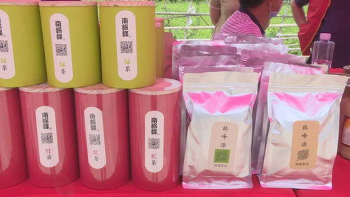 南嶺鎮消費扶貧展銷會圓滿落幕，農特產品及紡織品銷售成果顯著